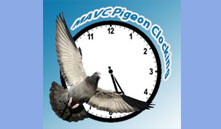 MAVC Clocking Logo